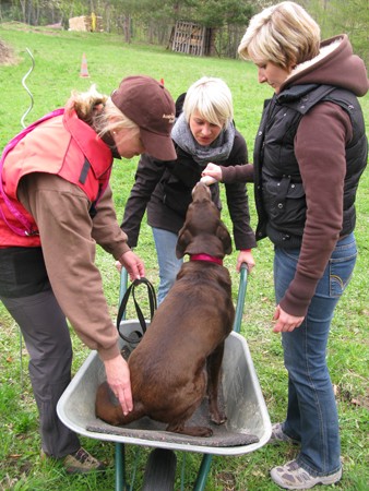 Kathrin u., Akira IMG_6207