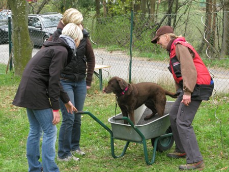 Kathrin u., Akira IMG_6211