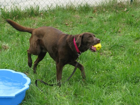 Akria beim Wasserbecken  IMG_6219