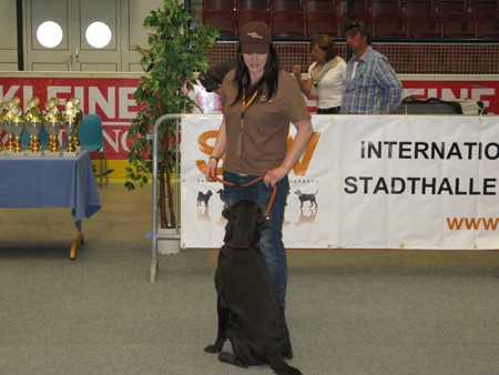 Austrian Retriever bei der Hundeaustellug IMG_7233