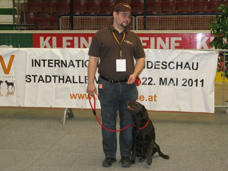 Austrian Retriever bei der Hundeaustellug IMG_7281