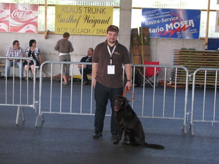 Austrian Retriever bei der Hundeaustellung IMG_860