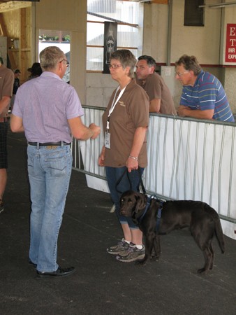 Austrian Retriever bei der Hundeaustellung IMG8207