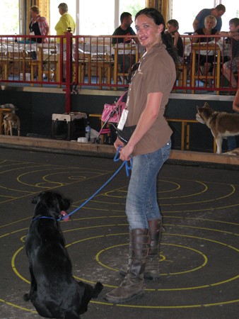 Austrian Retriever bei der Hundeaustellung IMG8277